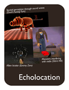 Echolocation-front-v20.png