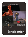 Echolocation-front-v10.png
